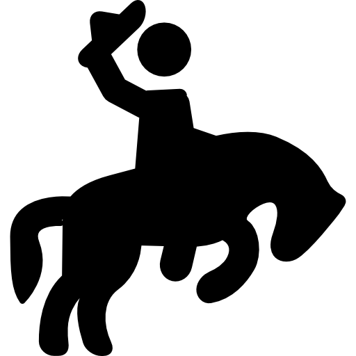 a rodeo rider